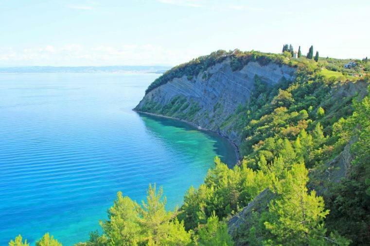 Amazing View Pirano Apartment Bagian luar foto