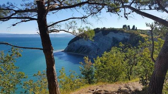 Amazing View Pirano Apartment Bagian luar foto