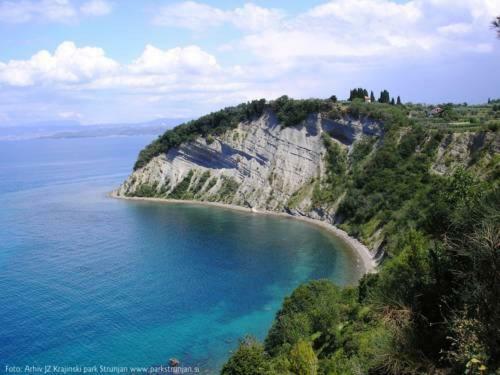 Amazing View Pirano Apartment Bagian luar foto