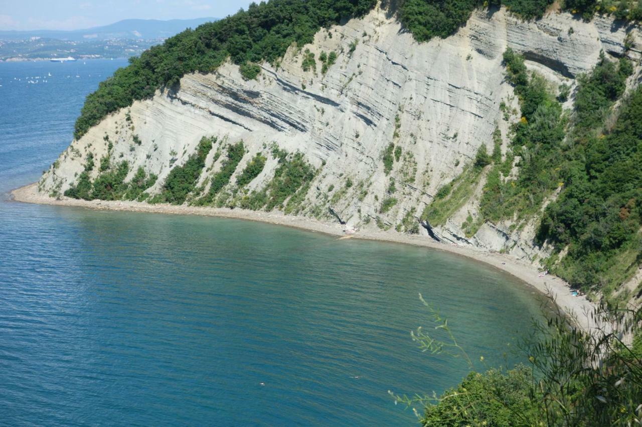 Amazing View Pirano Apartment Bagian luar foto